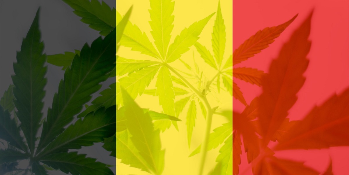 België cannabisolie